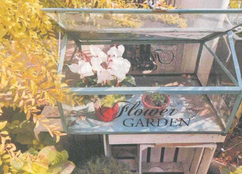 江南姑娘打理的私家花园会是怎样的呢