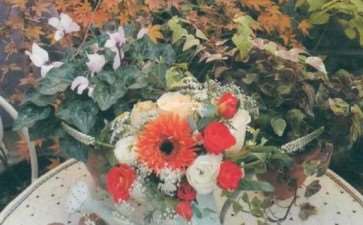 江南姑娘打理的私家花园会是怎样的呢