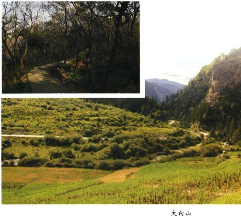 为什么太白山有种子植物1500余种