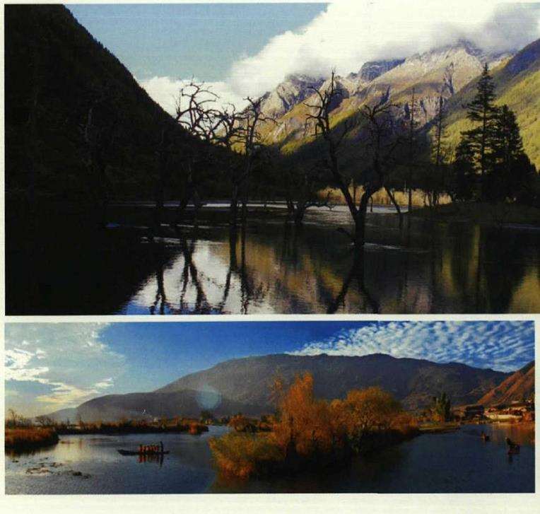 为什么太白山有种子植物1500余种