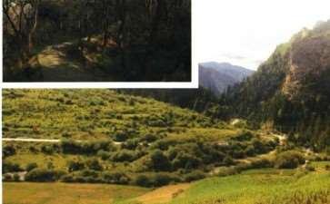 为什么太白山有种子植物1500余种