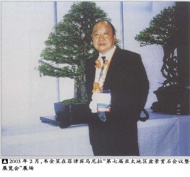 韦金笙的中国盆景情怀 图片