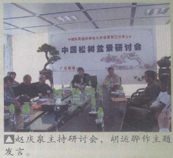 中国松树盆景研讨会在顺德大良举行