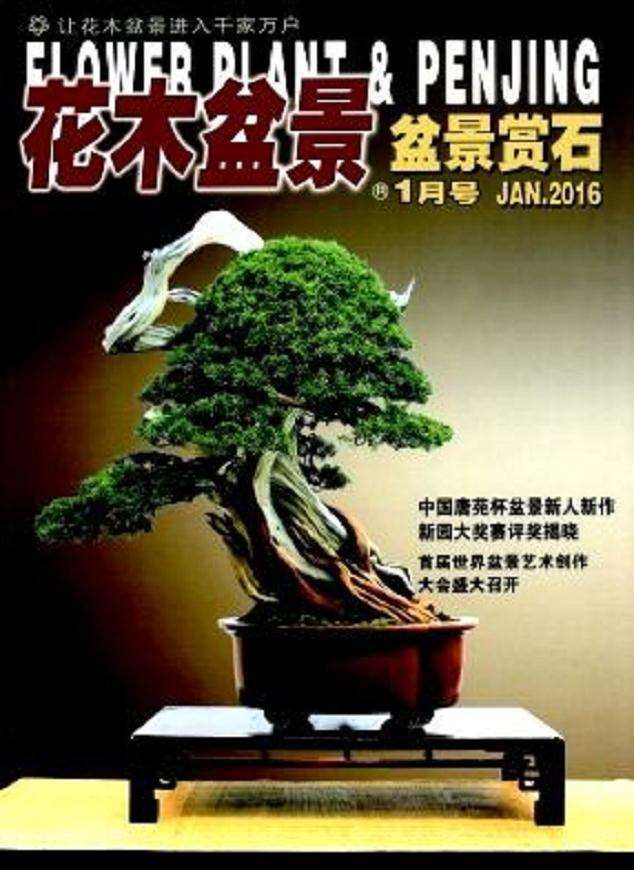我是从1991年开始订阅《花木盆景》杂志