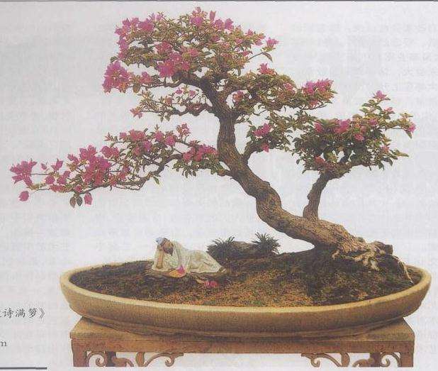 养花和制作盆景对人体的健康是有益的