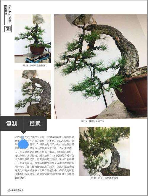 收到花木盆景杂志社一套2008年合订本