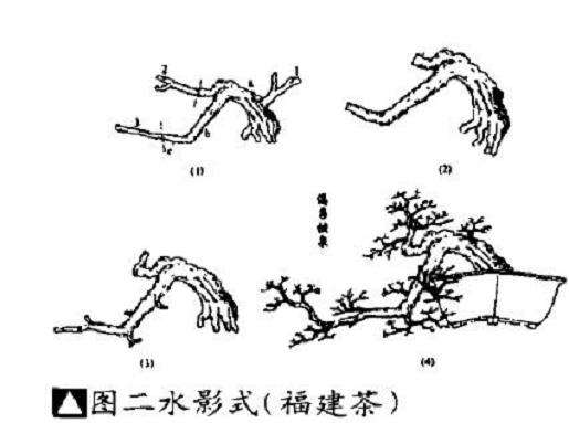 水影式盆景《渴马饮泉》怎么制作