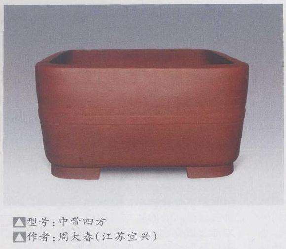 盆景盆子主要有以下3种可供选择