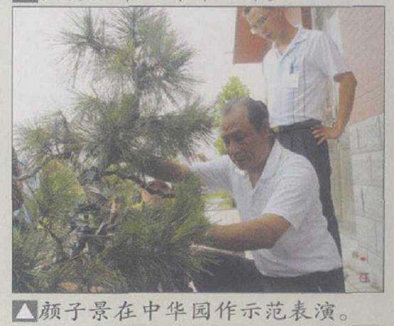 山东文登市盆景根艺协会成立