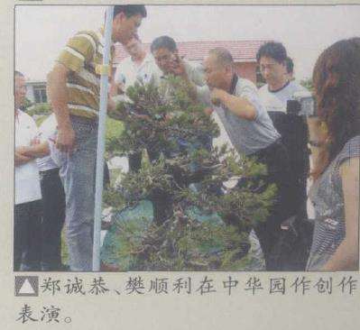 山东文登市盆景根艺协会成立