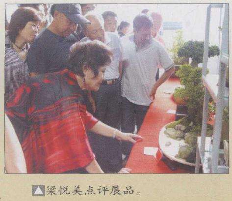 威海举办第二届鲁风盆景展