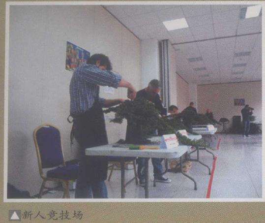 2009年 意大利盆景比赛如期举行 图片
