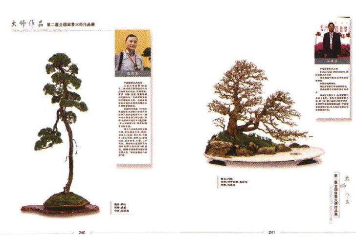 沭阳举办第十届全国盆景展