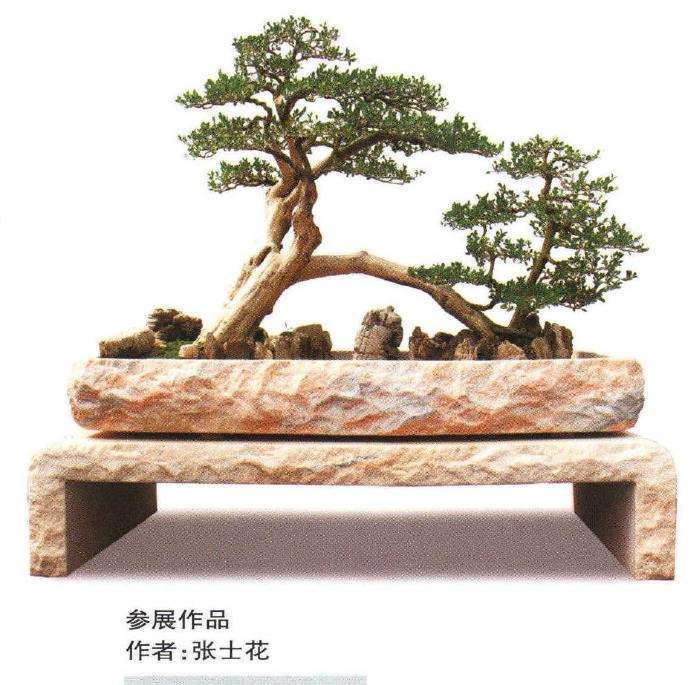 第十届全国盆景展作品