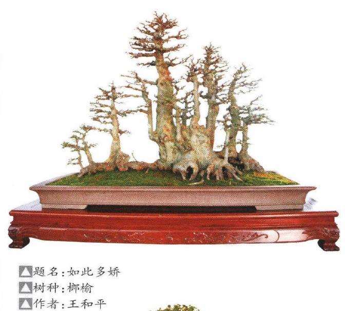 王恒亮盆景艺术公益大讲堂成功举办