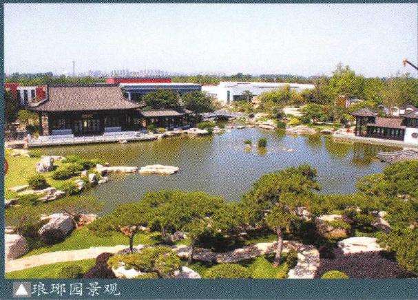 山东琅琊园第二届全国中青年盆景展