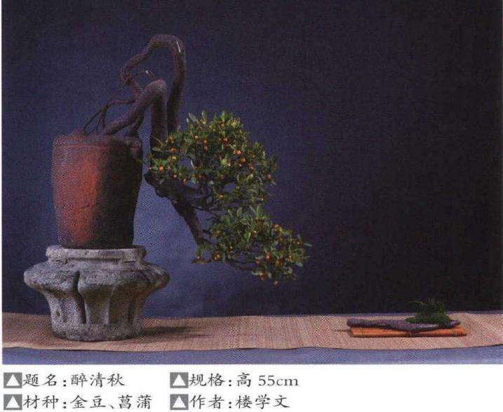 小品盆景怎么陈设的5个形式探讨