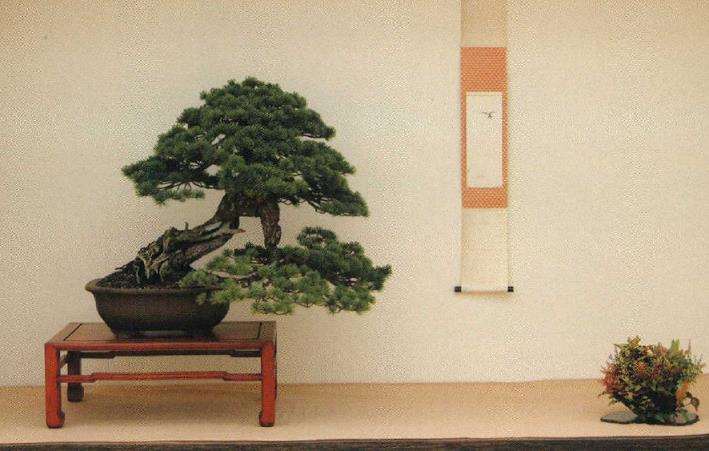 世界盆景艺术家社团名家作品