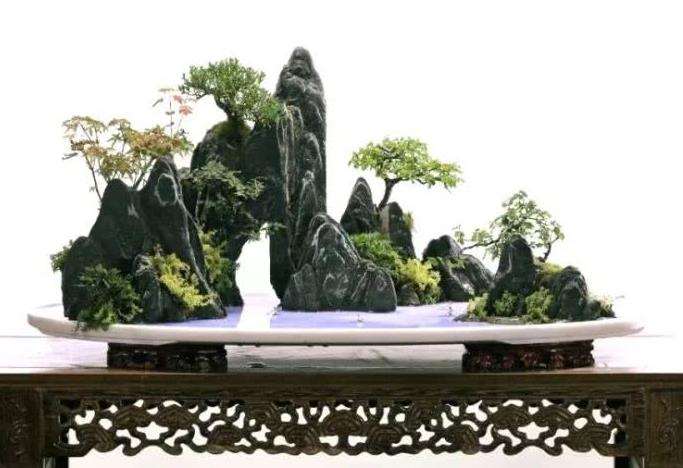 山石类盆景怎么名称考究的6个方法 图片