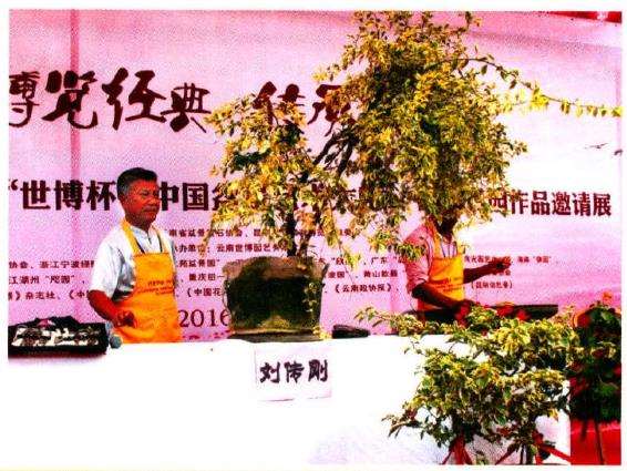 图解 树石盆景《世博又春风》的创作过程