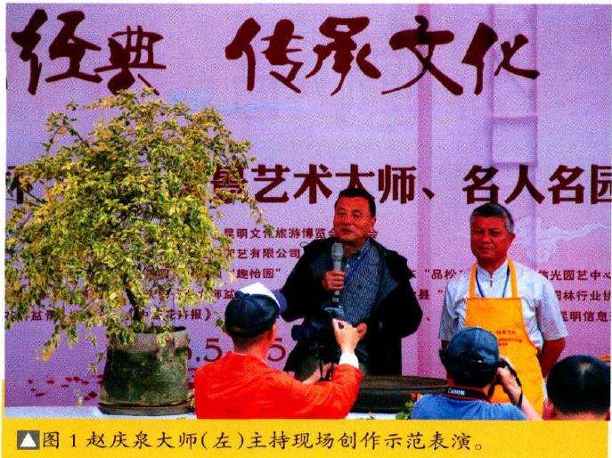 图解 树石盆景《世博又春风》的创作过程