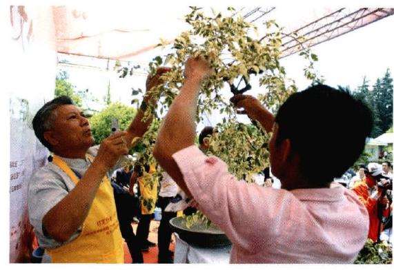 图解 树石盆景《世博又春风》的创作过程