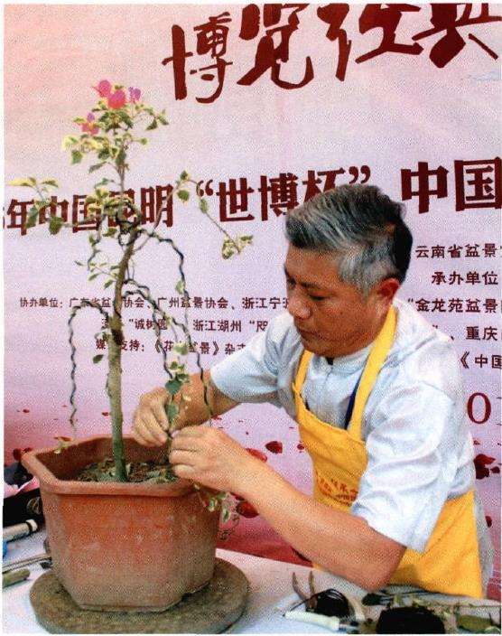 图解 树石盆景《世博又春风》的创作过程