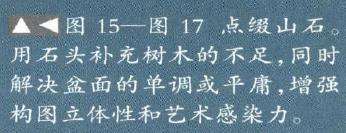 图解 树石盆景《世博又春风》的创作过程