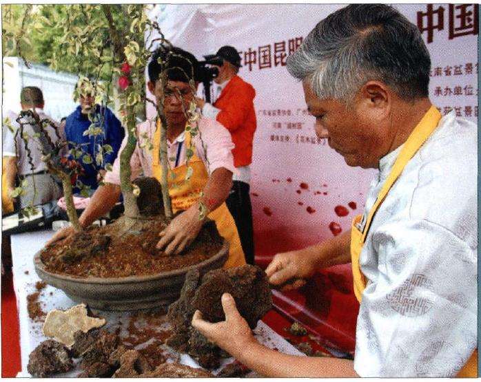 图解 树石盆景《世博又春风》的创作过程