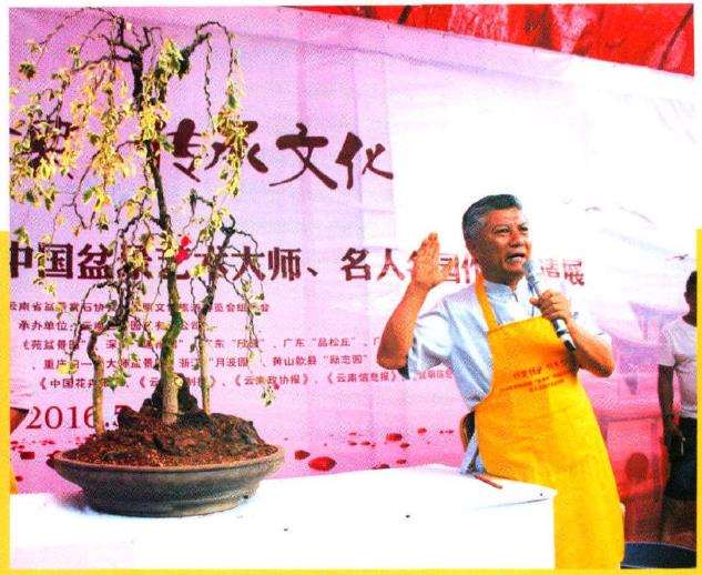 图解 树石盆景《世博又春风》的创作过程