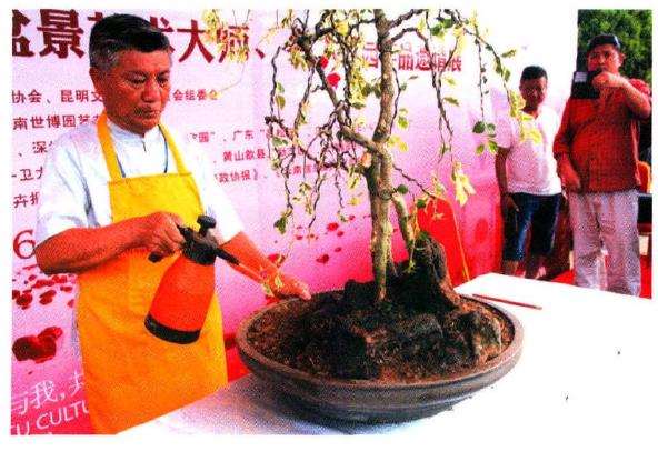 图解 树石盆景《世博又春风》的创作过程
