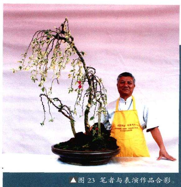 图解 树石盆景《世博又春风》的创作过程