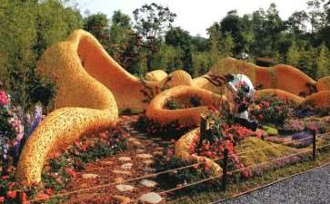 2021粤港澳大湾区深圳花展城市花园展