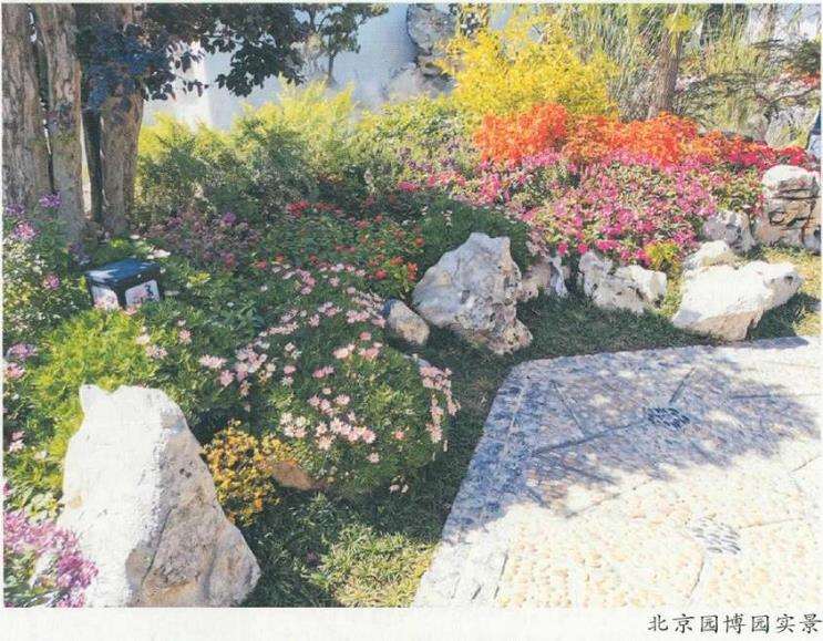 景观营造便携手册 各类型花境介绍 图片