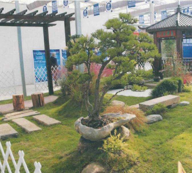 盆景与城市园林景观之间有什么关系