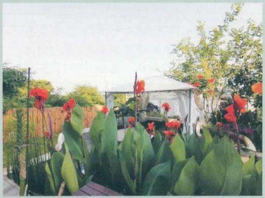 走进这座花园就感到主人绝对是造景高手