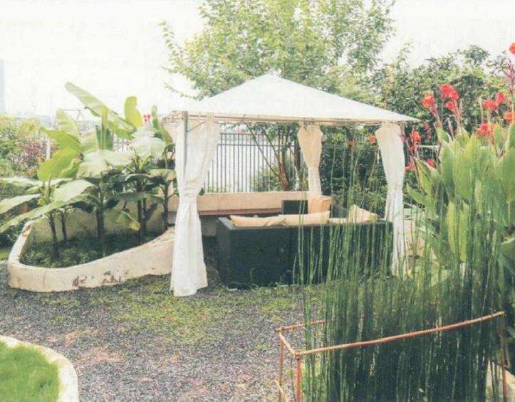 走进这座花园就感到主人绝对是造景高手