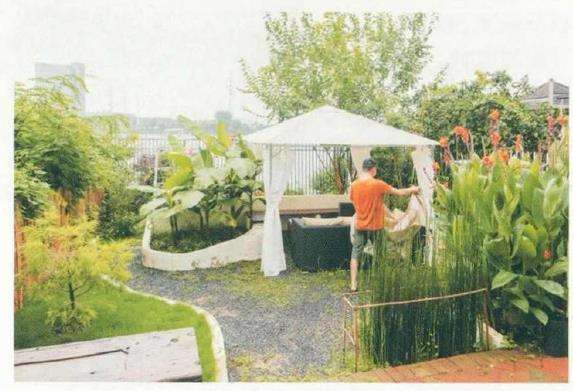 走进这座花园就感到主人绝对是造景高手