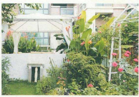 走进这座花园就感到主人绝对是造景高手