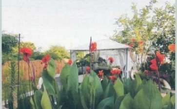 走进这座花园就感到主人绝对是造景高手