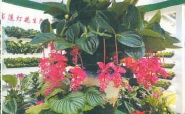 第二十二届北京国际花卉园艺展览会