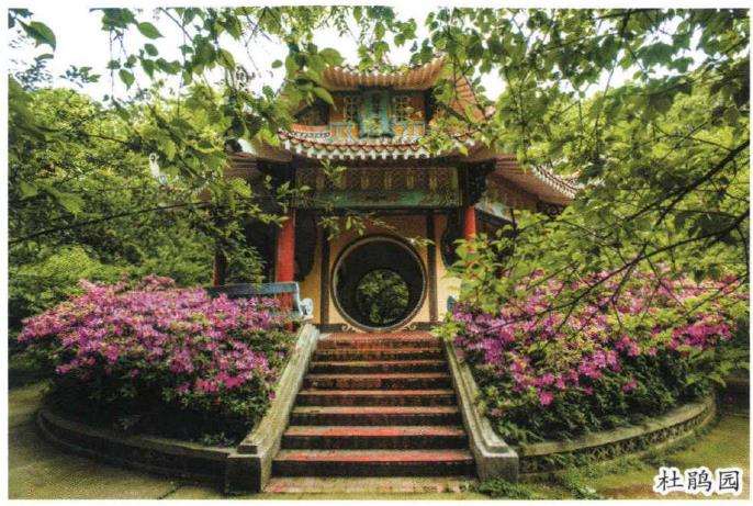 武汉植物园掠影