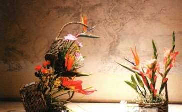 2021 扬州园林绿化行业花卉工竞赛