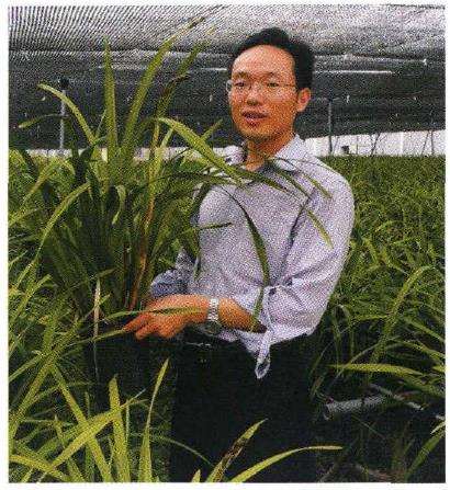 中国盆栽植物怎么生产的4个概况 图片