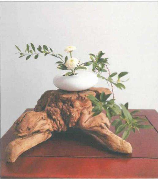 禅意与花艺及茶艺的不解之缘 图片