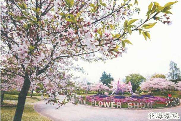 1988年 建成上海盆景植物园 图片