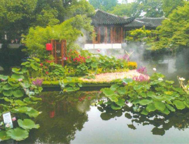 大面积种植荷花的4个问题