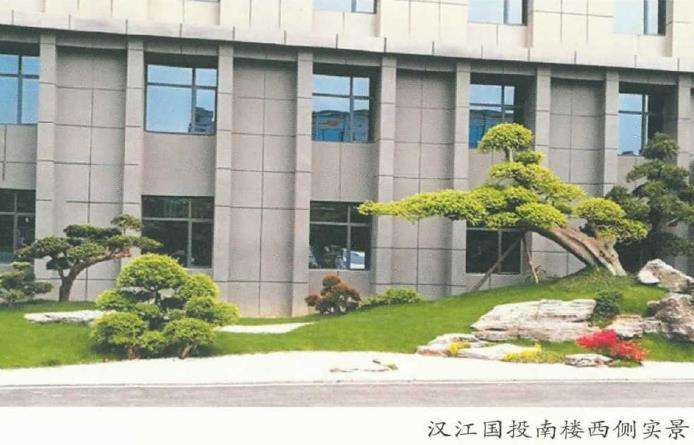 园林桩景节点怎么营造的7个方法