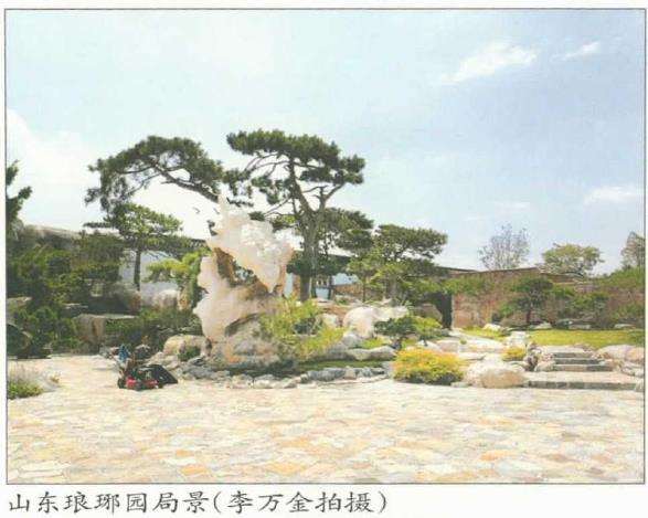 园林桩景节点怎么营造的7个方法