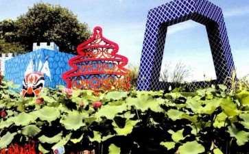 第34届全国荷花展园艺展区欣赏 上